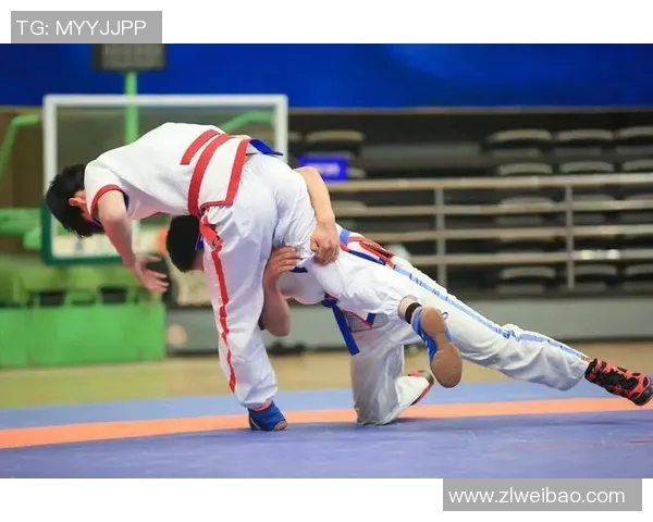 古典式摔跤赛事精彩回顾与战报分析揭示选手表现与技术对抗